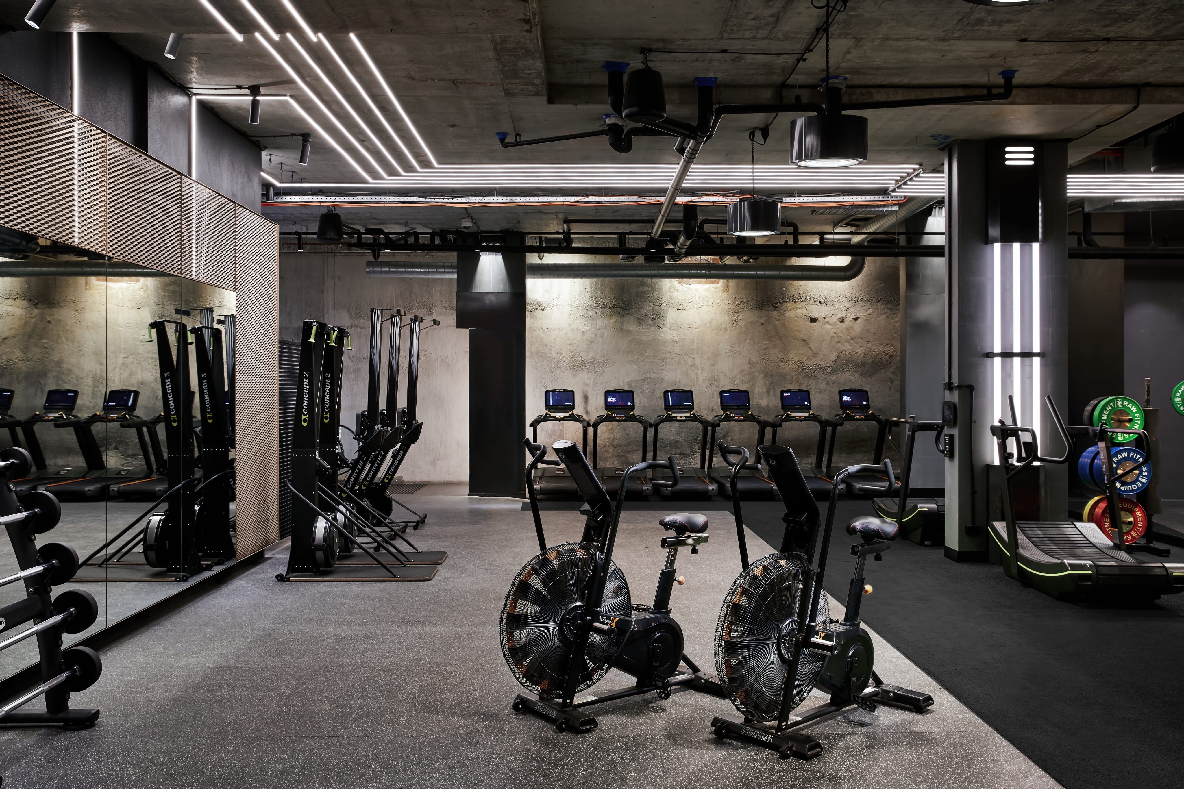 The Gym