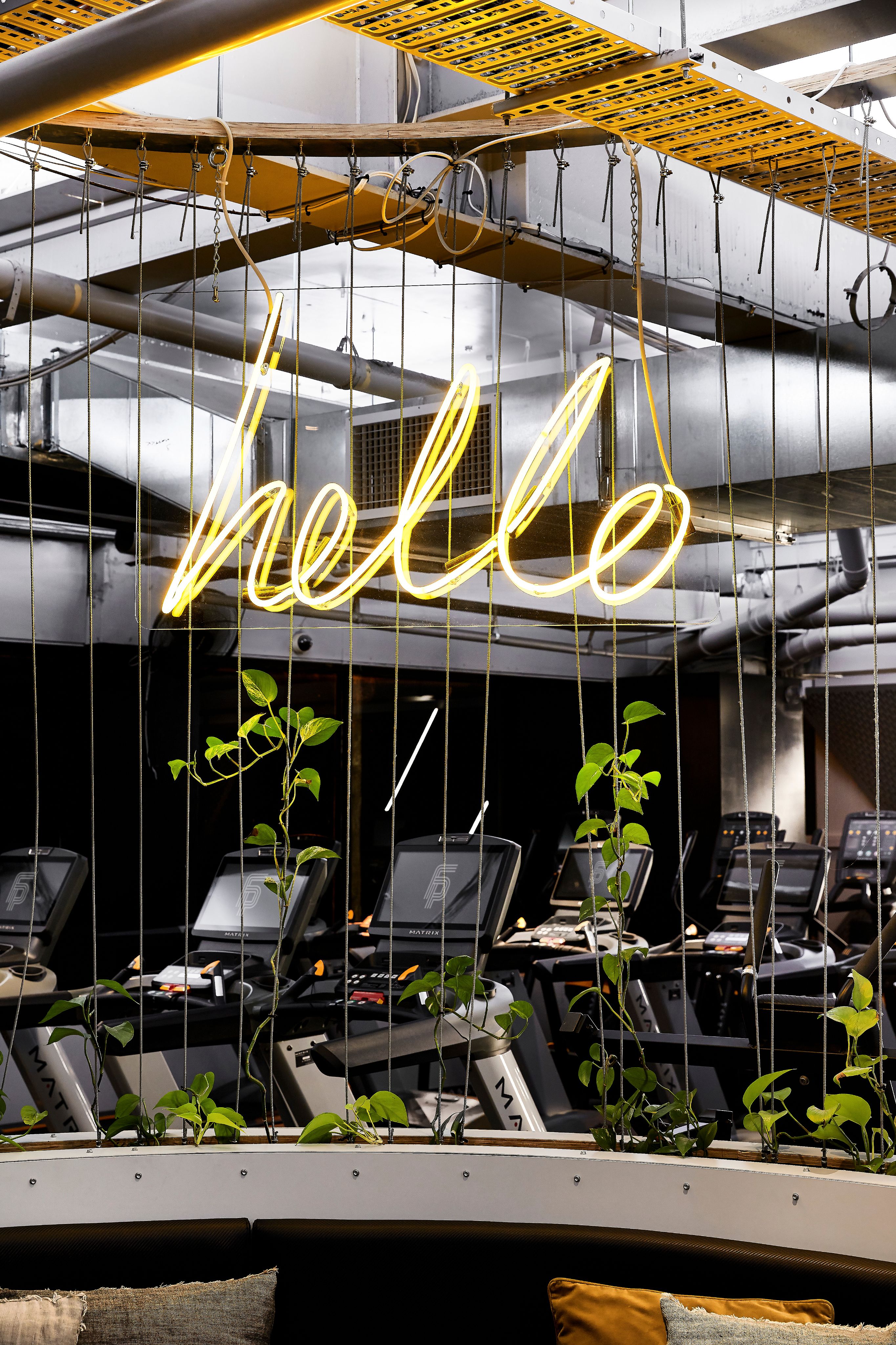 Cutting-Edge Cardio & Functional Space
