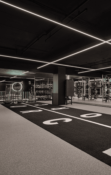 Force Studio