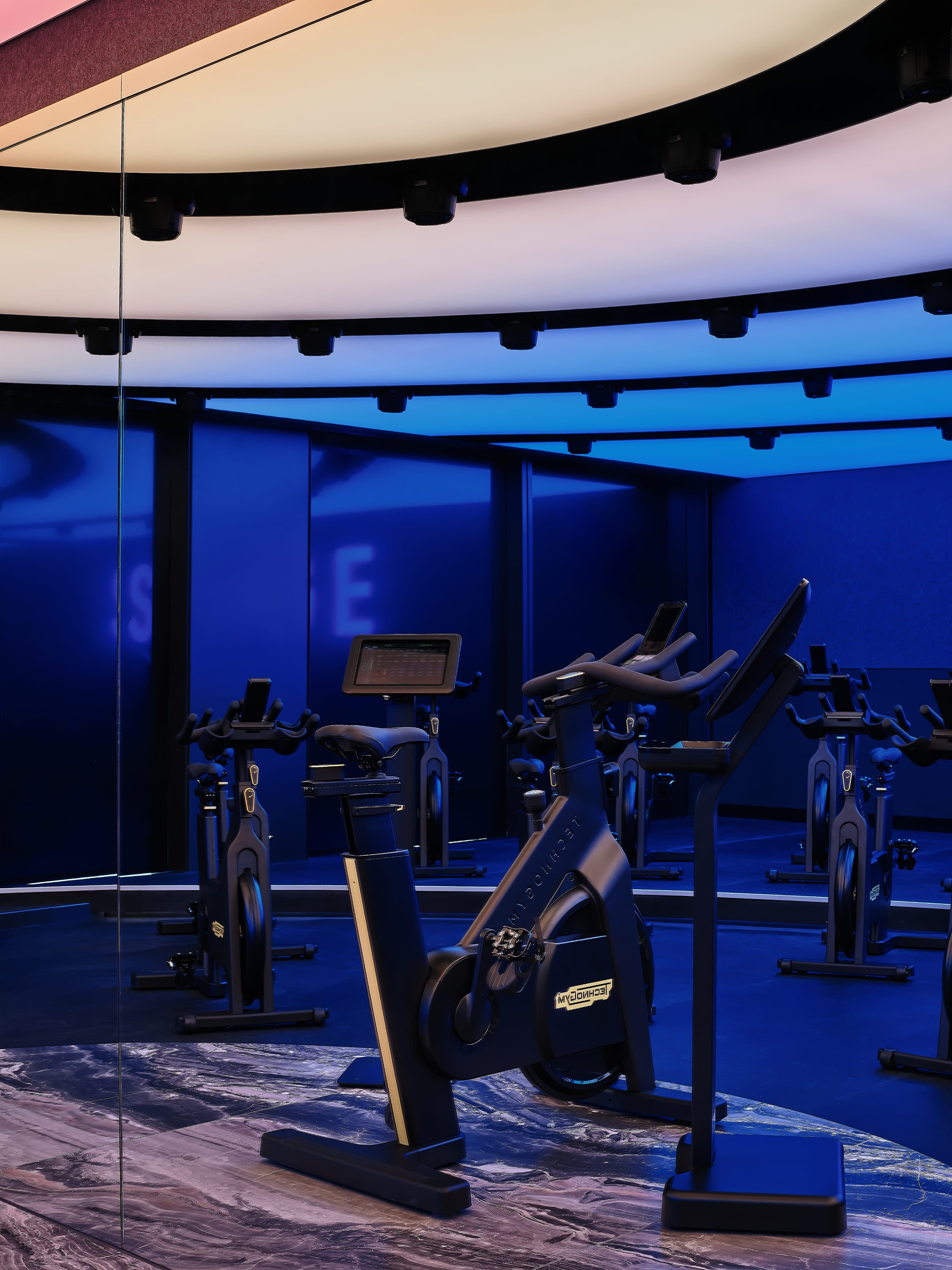Surge Studio