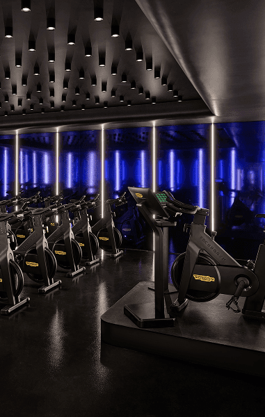 Surge Studio